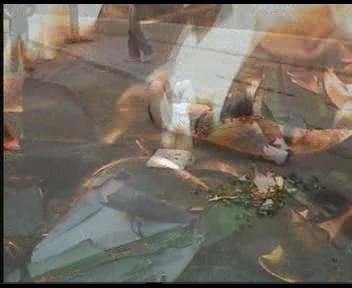 turnage de film ceour d'or lycée hassan deux rabat