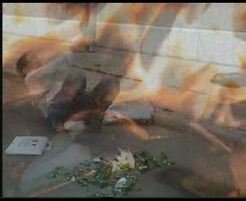 turnage de film ceour d'or lycée hassan deux rabat