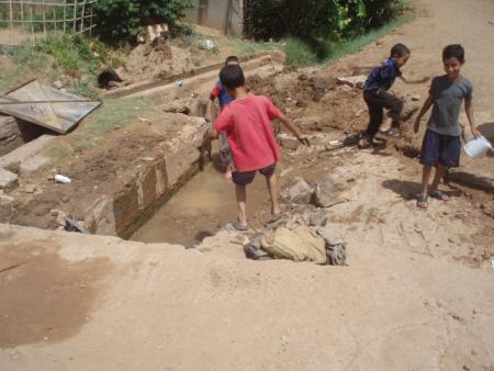 la jeunisse de futur irizn n imal