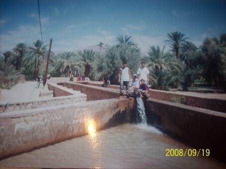 tazyit tadighoust