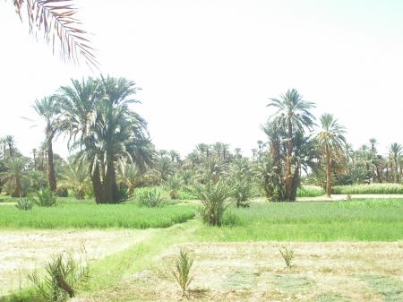 igran izilf abrid akhatar